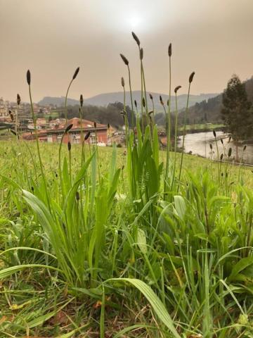 Hotel El Mirador Del Nalon Candamo Zewnętrze zdjęcie